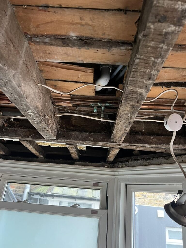 New Extension