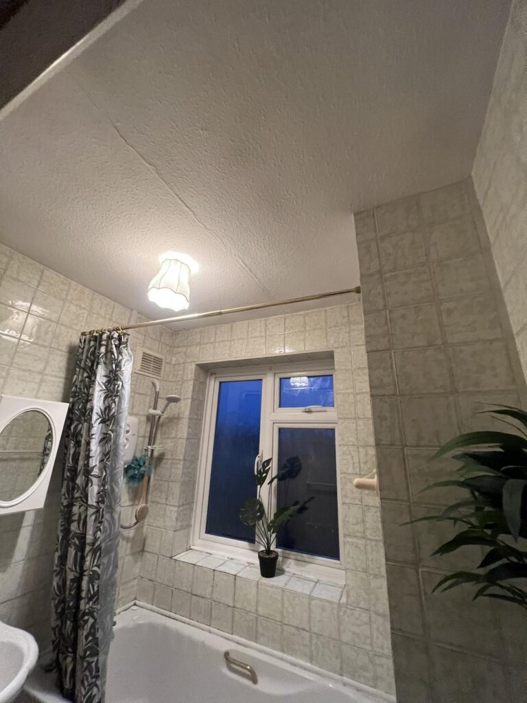 New Side Extension & Full House Renovation